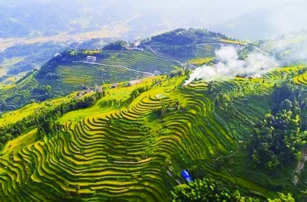 跟着这份秋日赏色地图，踩着最佳时间节点，看芦苇绕岸彩林浓烈