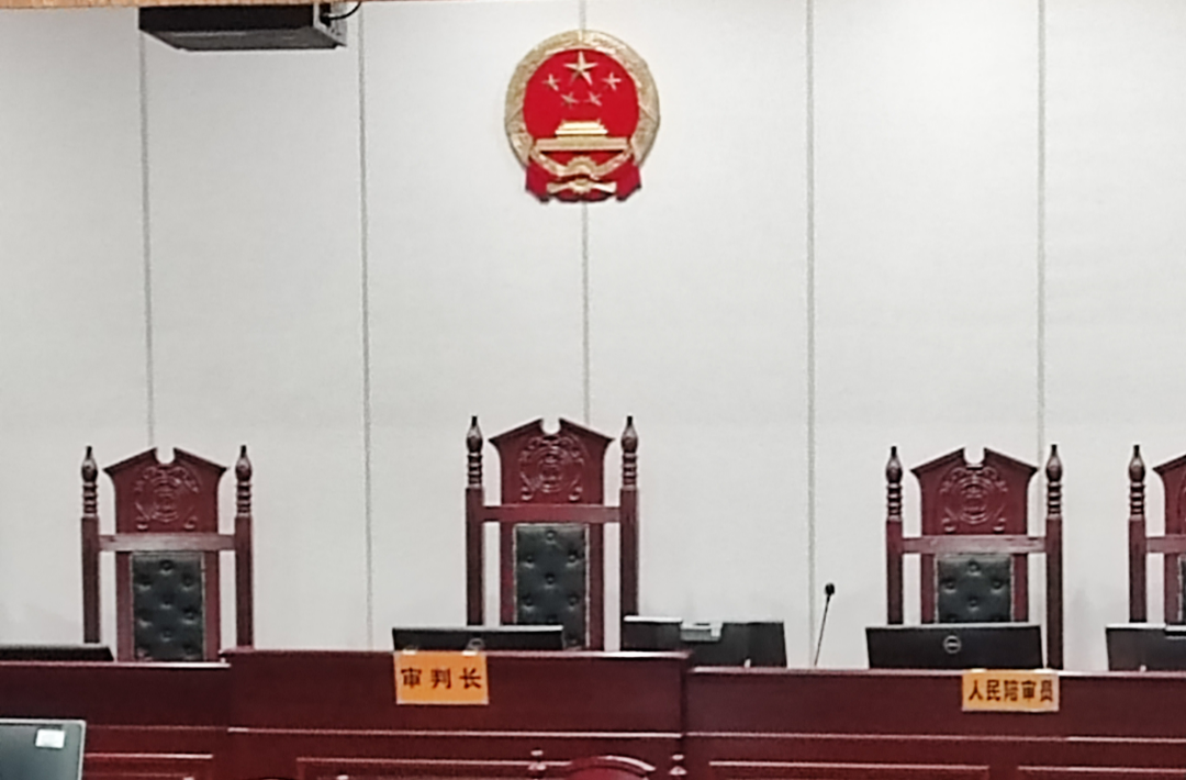 未拴绳的宠物狗被撞伤，犬主起诉索要营养费和护理费