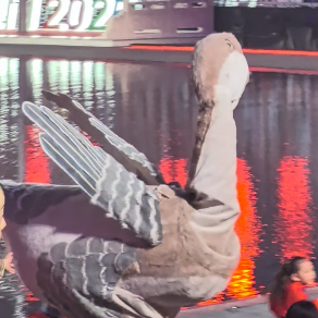 十五运会开幕式暖场大鹅被护送离场，网友：快回家！再晚点就会变成烧鹅