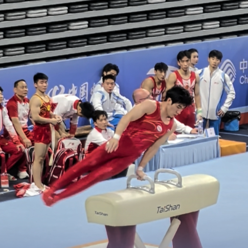 张博恒鞍马受体操男孩集体围观，比完还和对手江苏队洪延明击掌｜湘遇十五运会