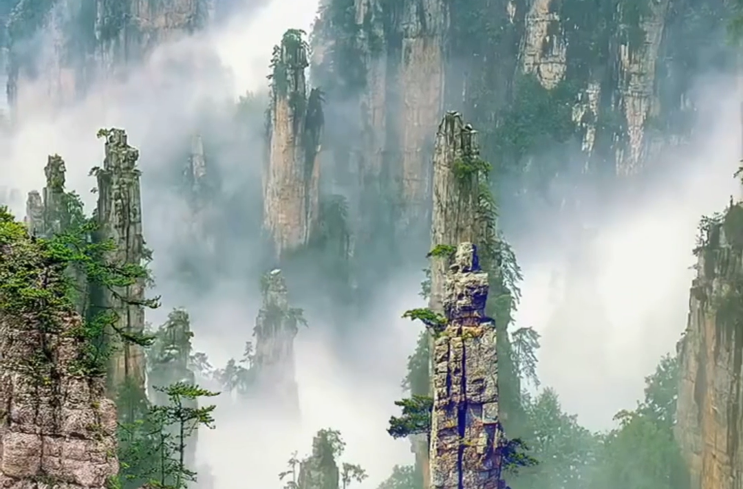 芒果超媒等多家企业携资入局，张旅集团迎新鲜血液｜湘股观察