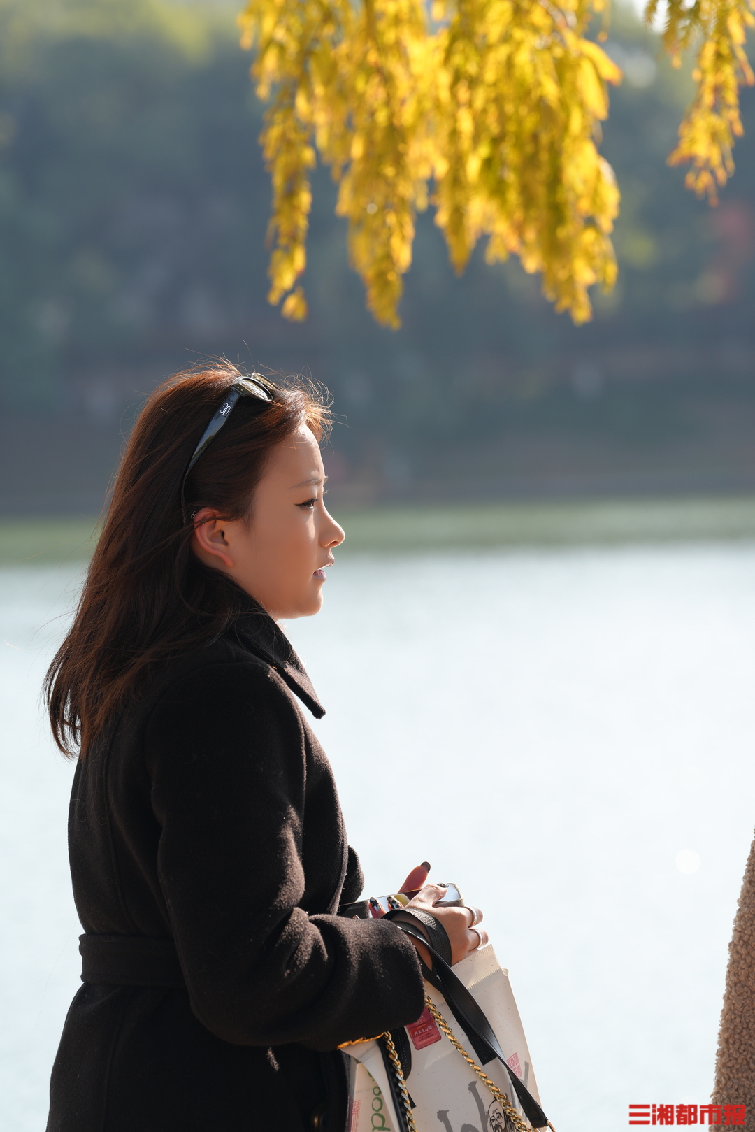 达瞰 | 秋日水杉