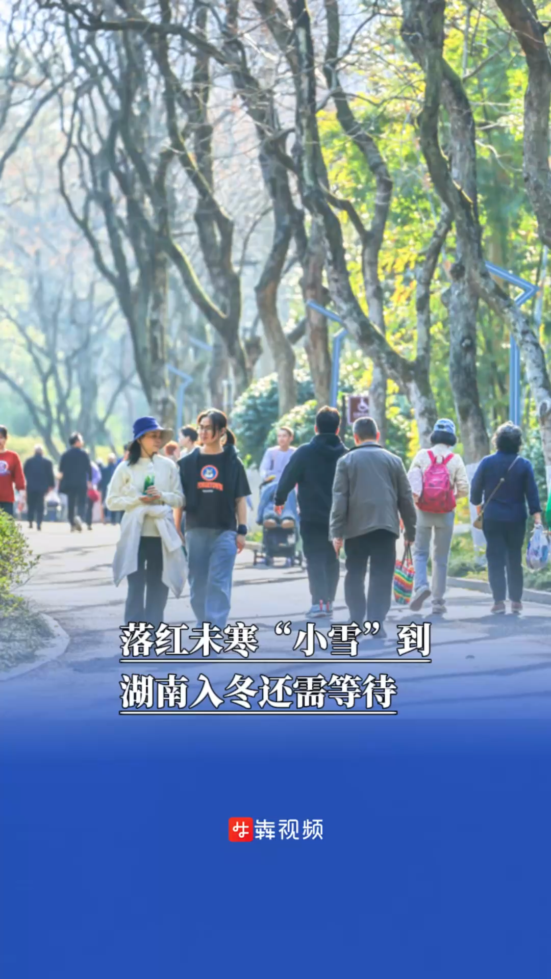 落红未寒“小雪”到，湖南入冬还需等待