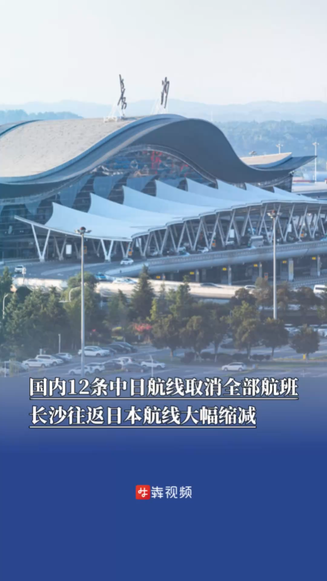 国内12条中日航线取消全部航班，长沙往返日本航线大幅缩减