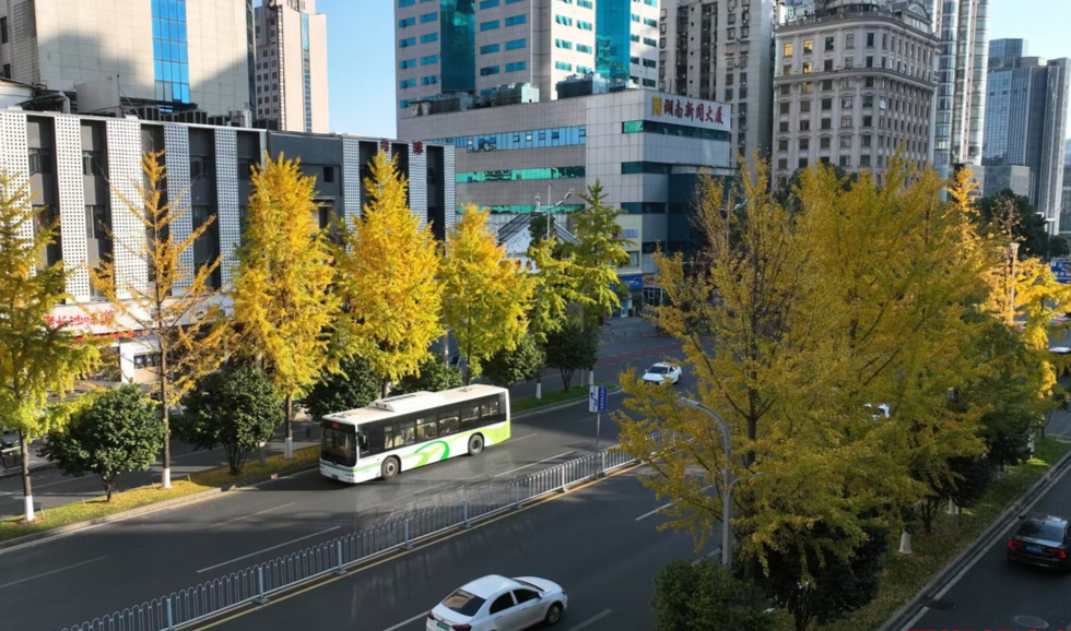 达瞰 | 又见“金色皮肤”