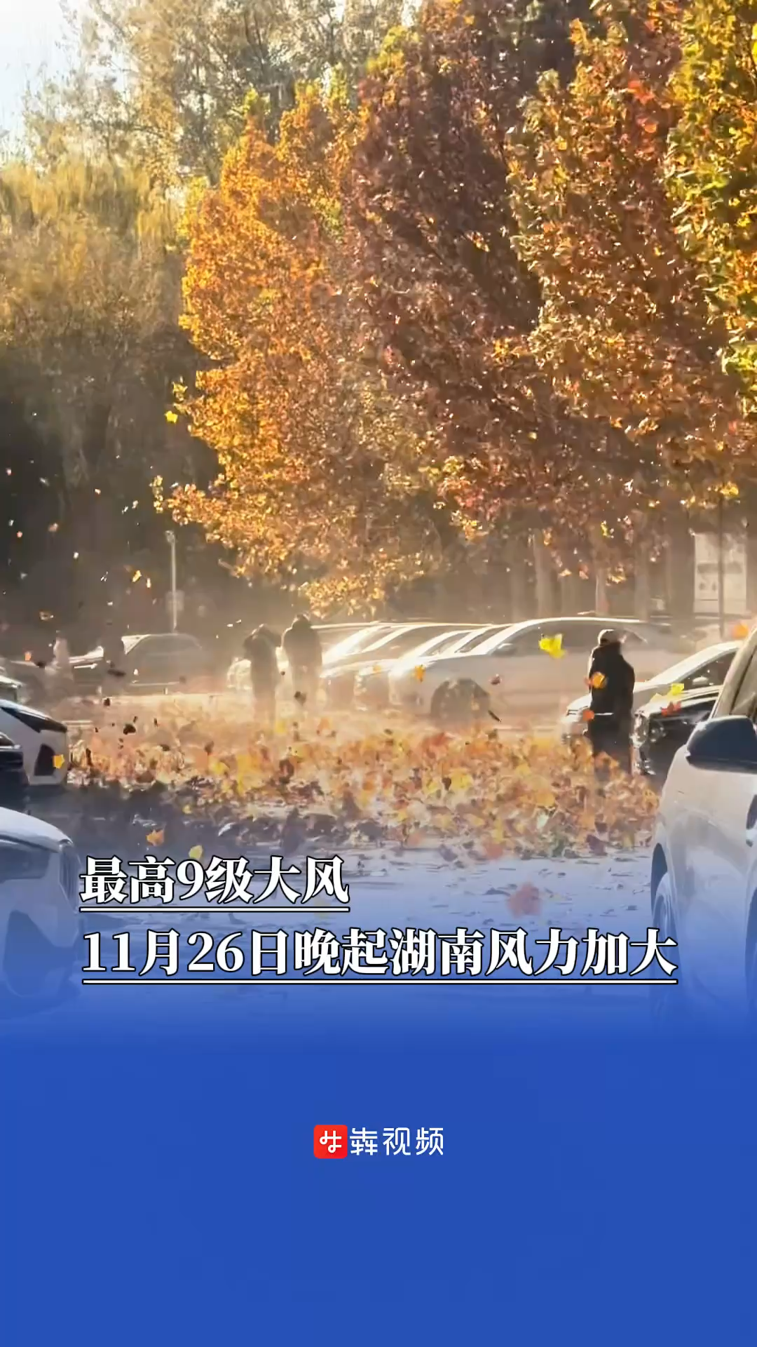 最高9级大风，11月26日晚起湖南风力加大，需注意森林防火
