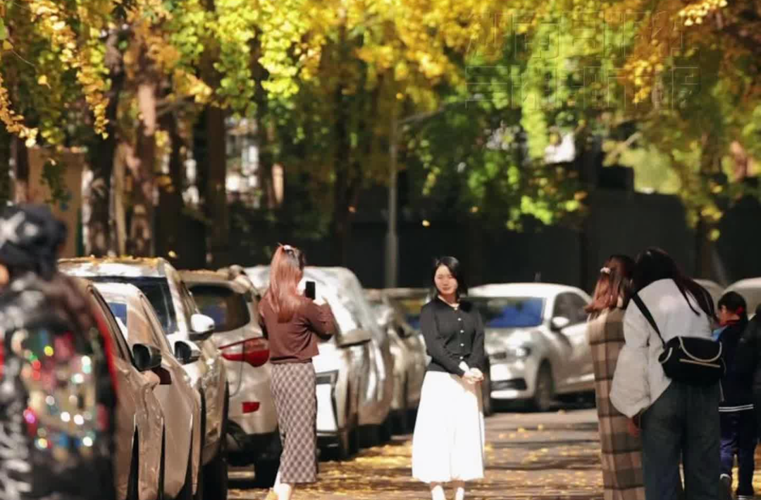 我是刘贵香丨长沙银杏季上线