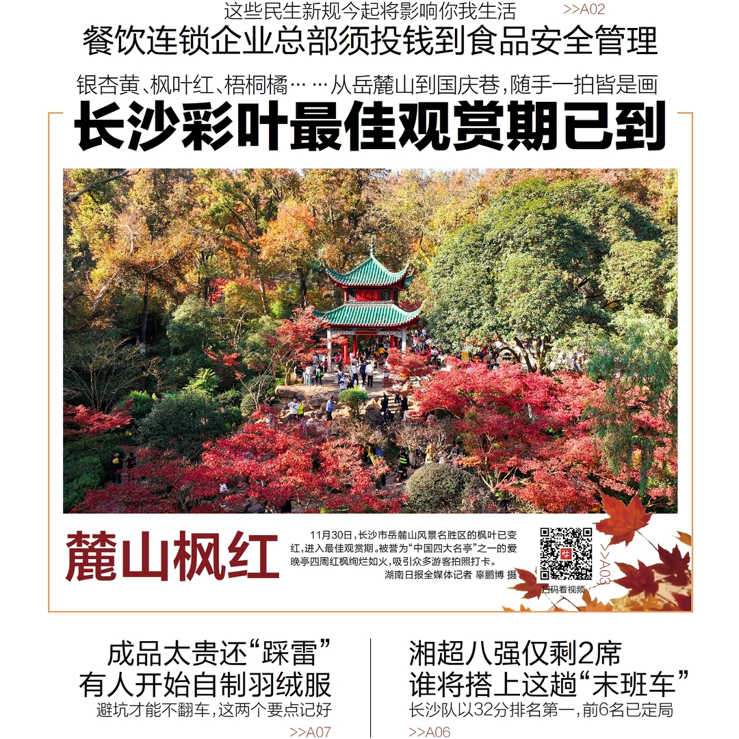 读报|12月1日《三湘都市报》版面速览