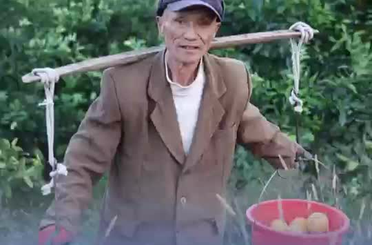 新征程，新样范｜橙香漫山，这里是“全球华脐第一村”