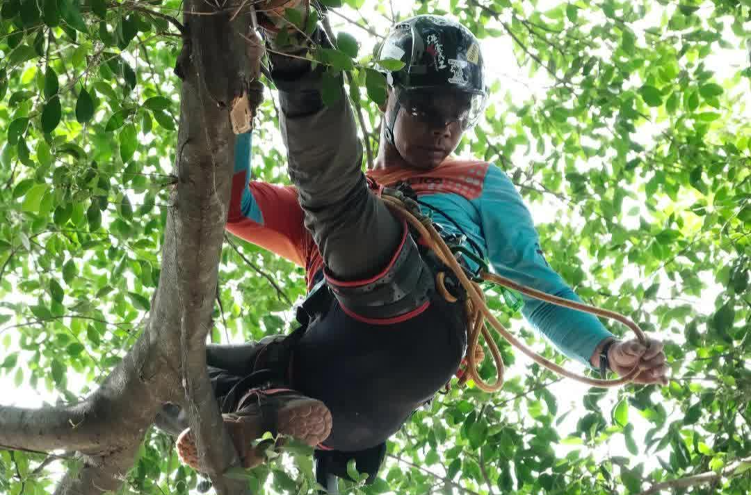 军哥说新闻｜着长衫抑或穿短褂，都能攀登自己的顶峰