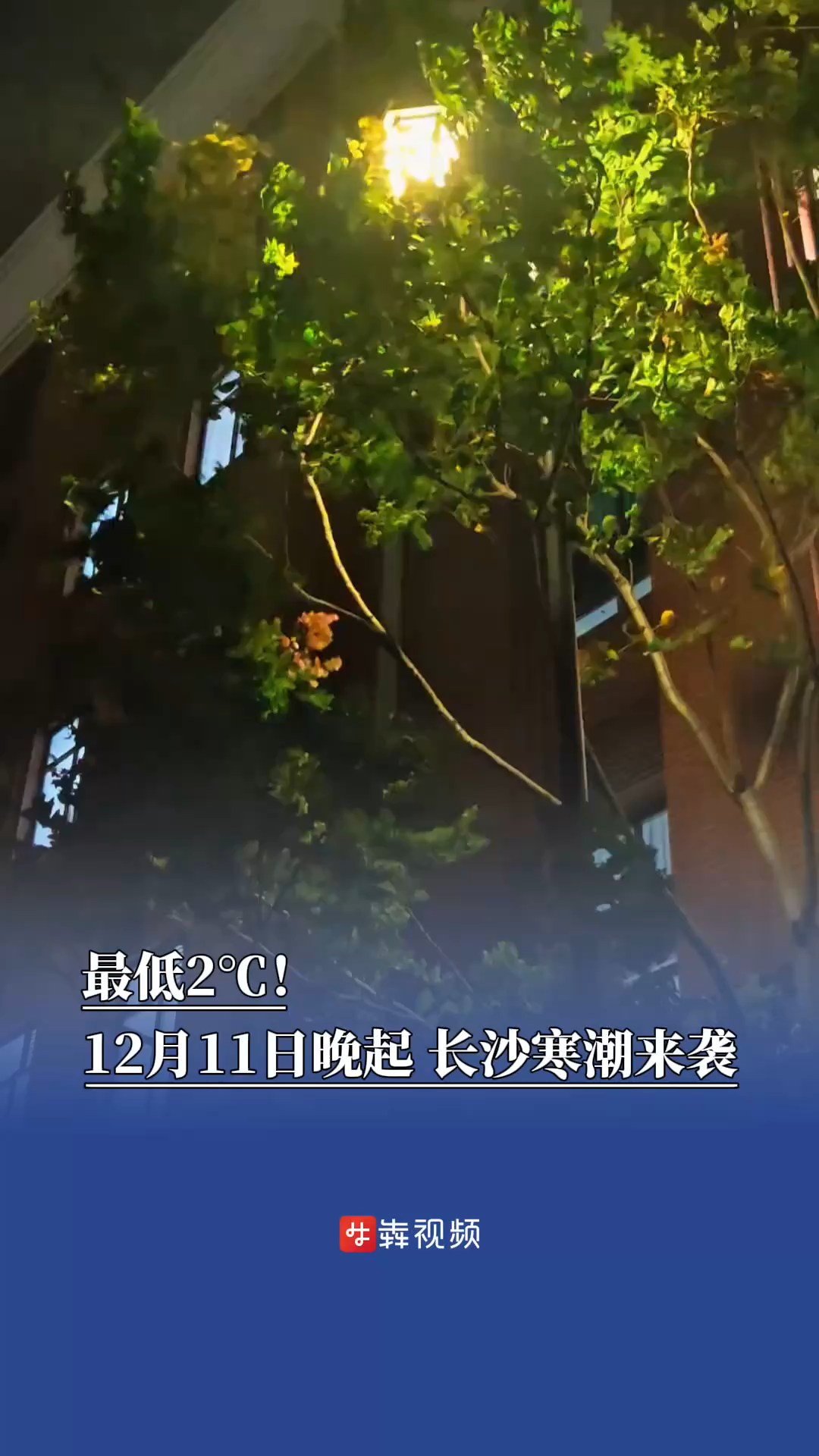 最低2℃！12月11日晚起，长沙寒潮来袭