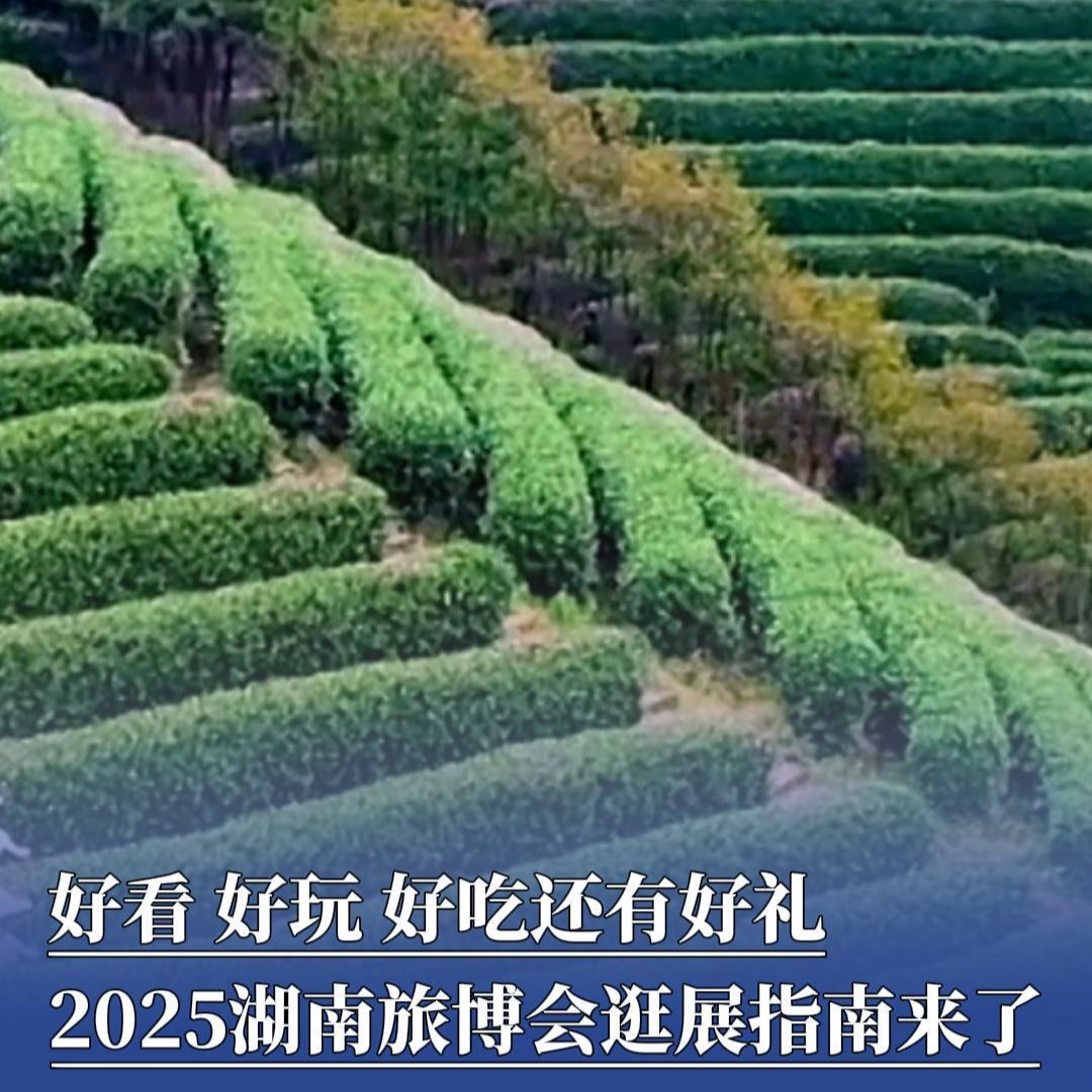 好看、好吃、好玩，还有好礼！2025湖南旅博会逛展指南来了