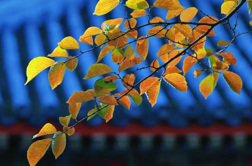 湖南大部今日有7—9级阵风，14日开始天气转晴逐渐回暖