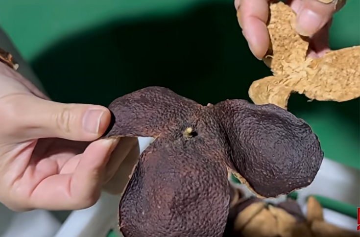 产地造假、年份虚标，两地连夜查封速成加工陈皮