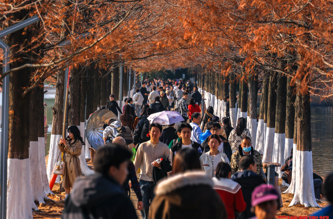 我是刘贵香 | 长沙的“冬日时差”