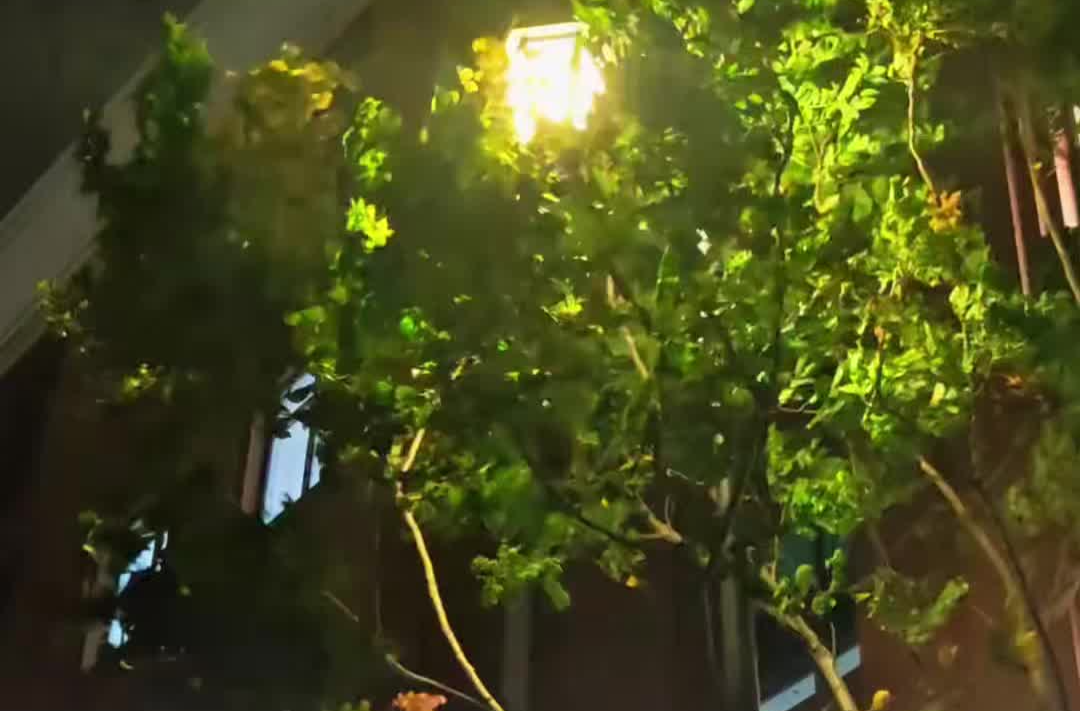 最大风力可达8级以上，长沙发布大风蓝色预警