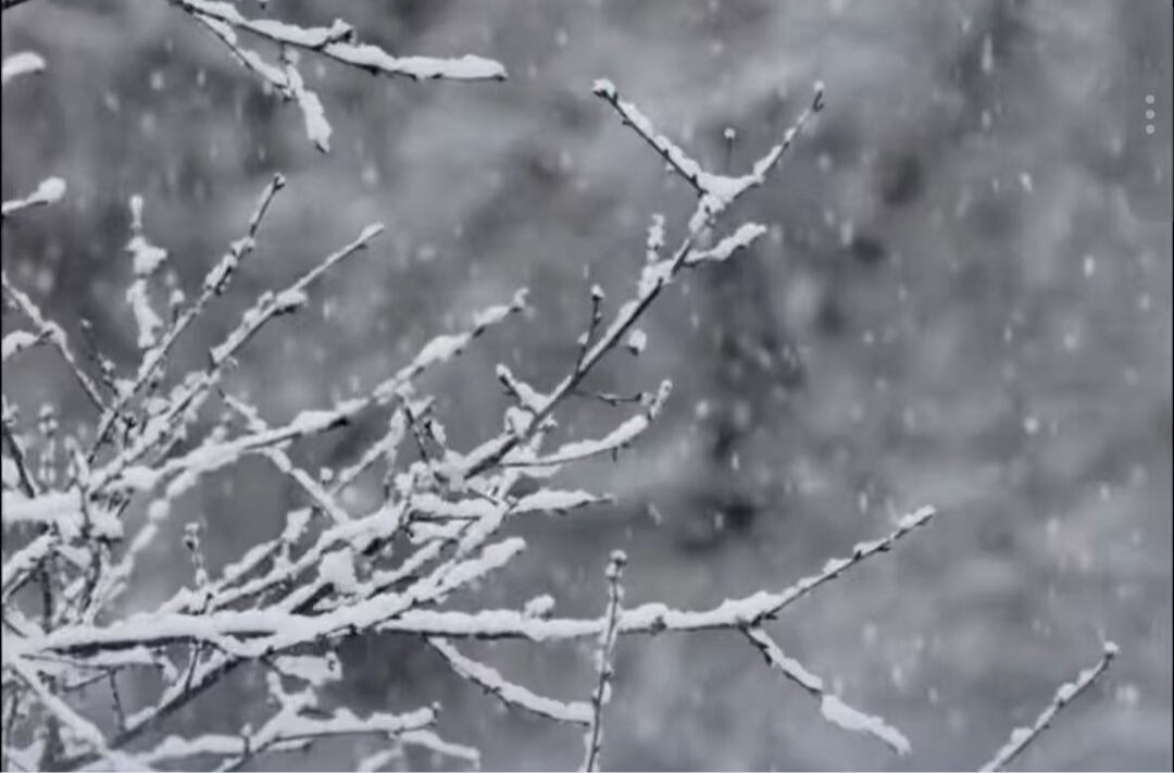跨年夜的冷空气来了，长沙高海拔山区1月1日凌晨有短时雨夹雪