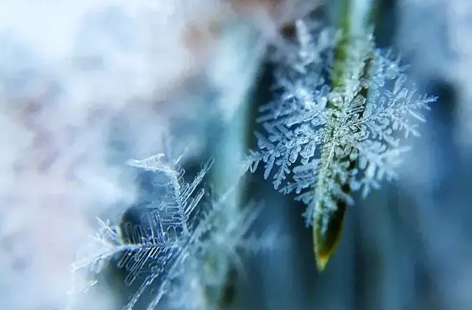 最低气温降至3℃，长沙下雪籽了