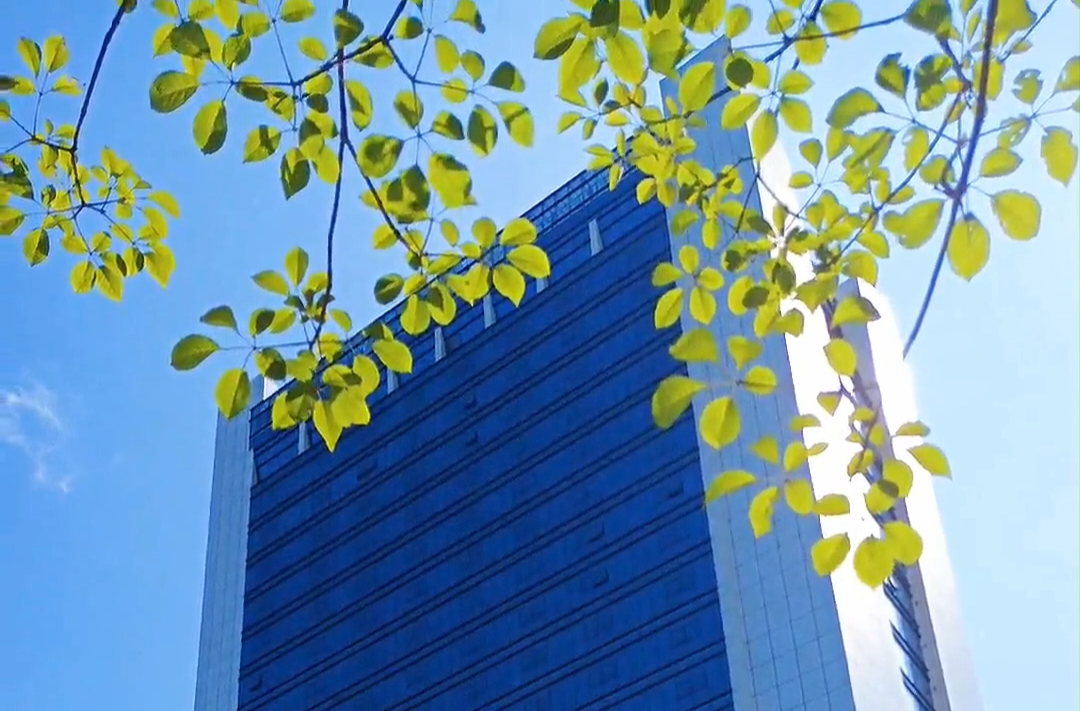 刚买20天新车遭“天降横祸”，车主起诉物业获赔贬值损失