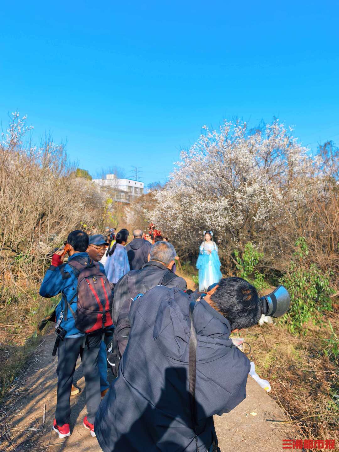 梅花开了！长沙“梅花季”提前报到，这份赏梅攻略请收好