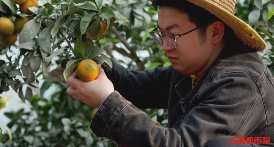 减少虫害经济损失超30亿元，他用10年交出助农成绩单｜新时代新雷锋