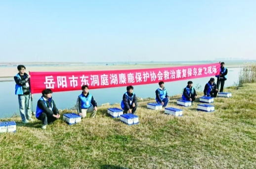 湖南已有30家野生动物救护机构，全民接力参与，一次次刷新“生命极限”