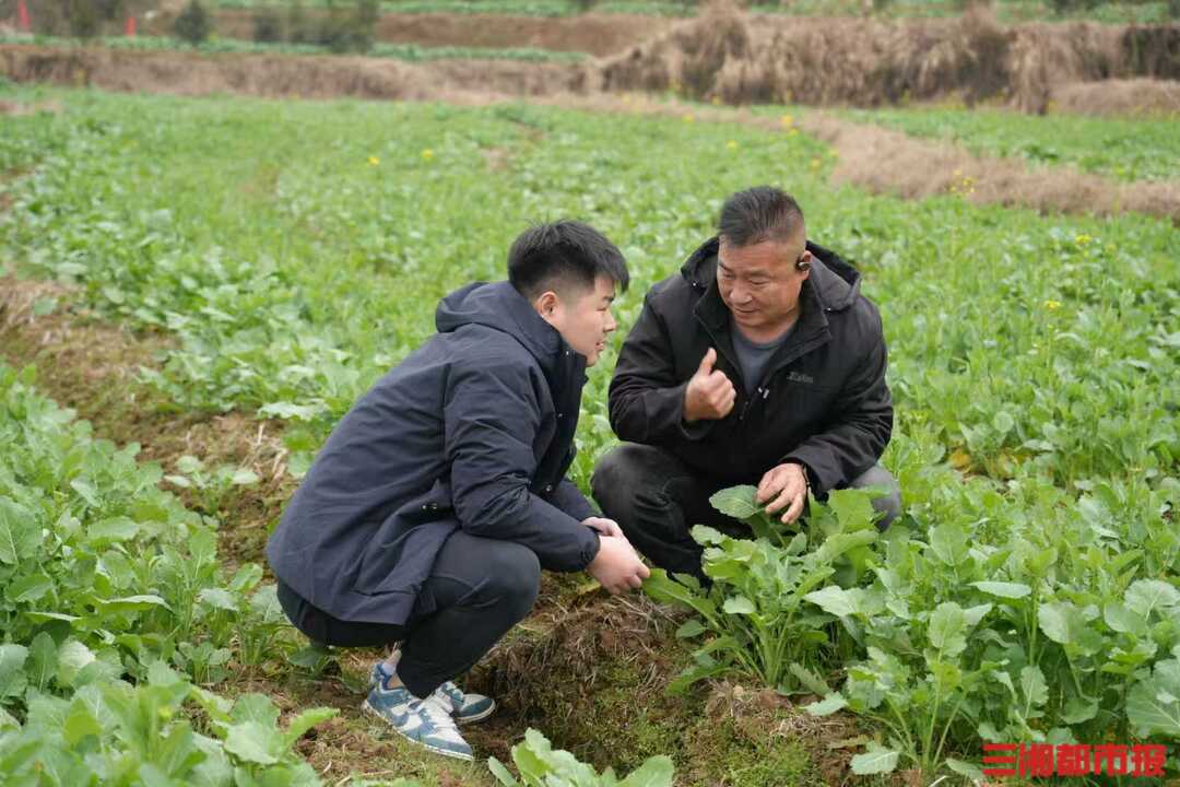 【新春走基层】“站好田里的岗”，“00后”农技员的春节值守
