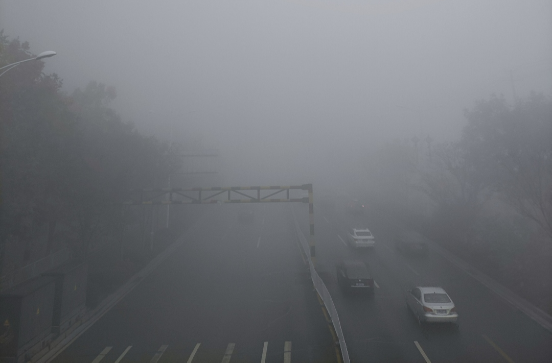 大年初二长芷等高速公路车流量大｜2026春运进行时 