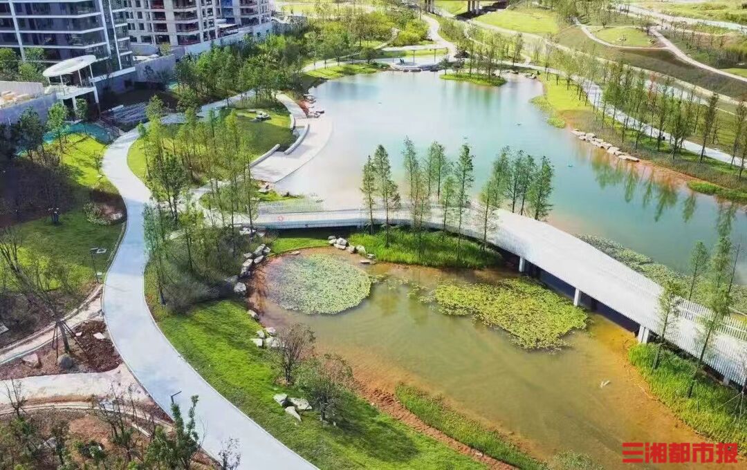 新增滨水休闲好去处，雷锋河生态公园一期正式竣工｜读城