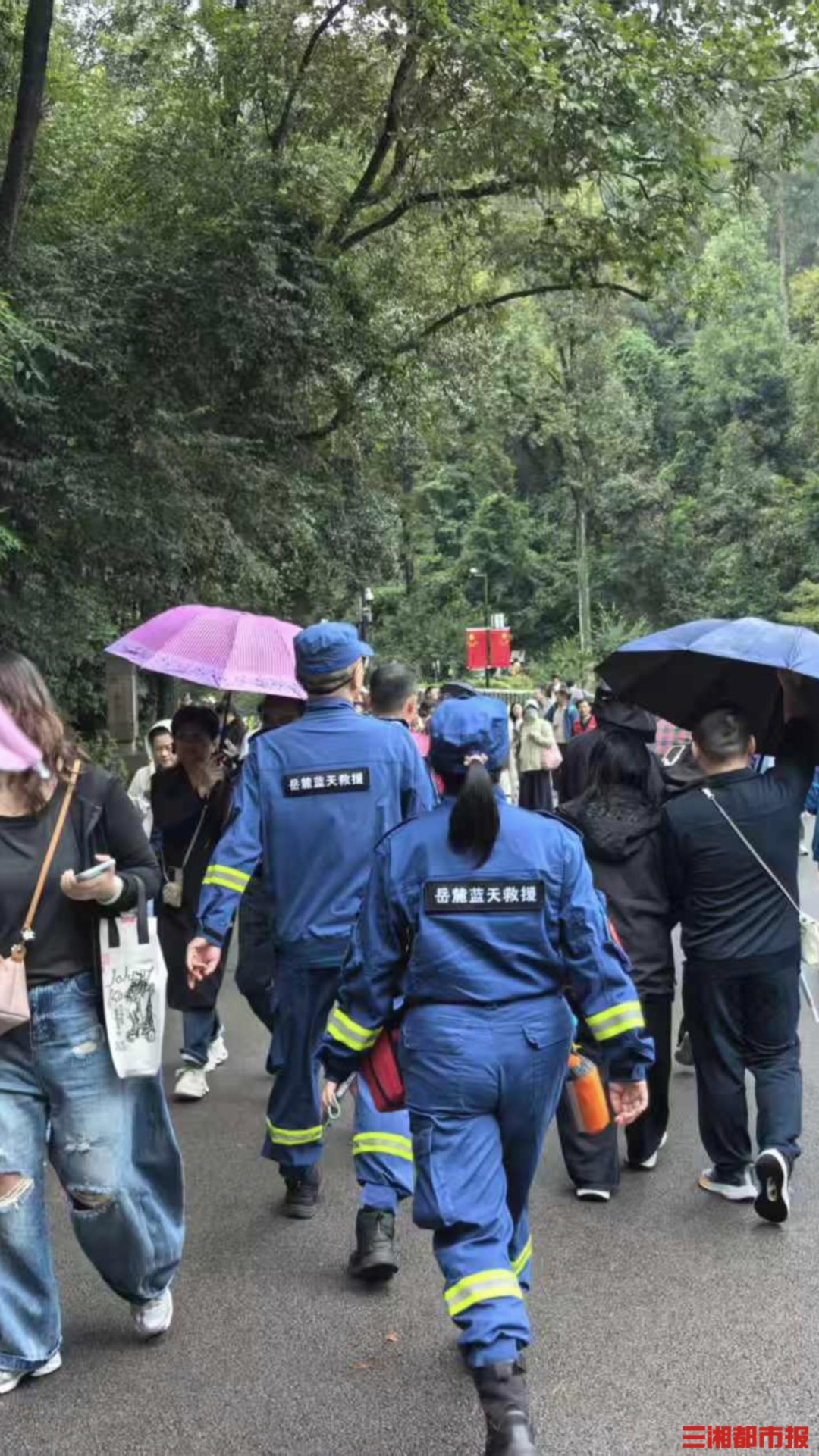 3名孩童接连走失，蓝天救援队一小时全部找回