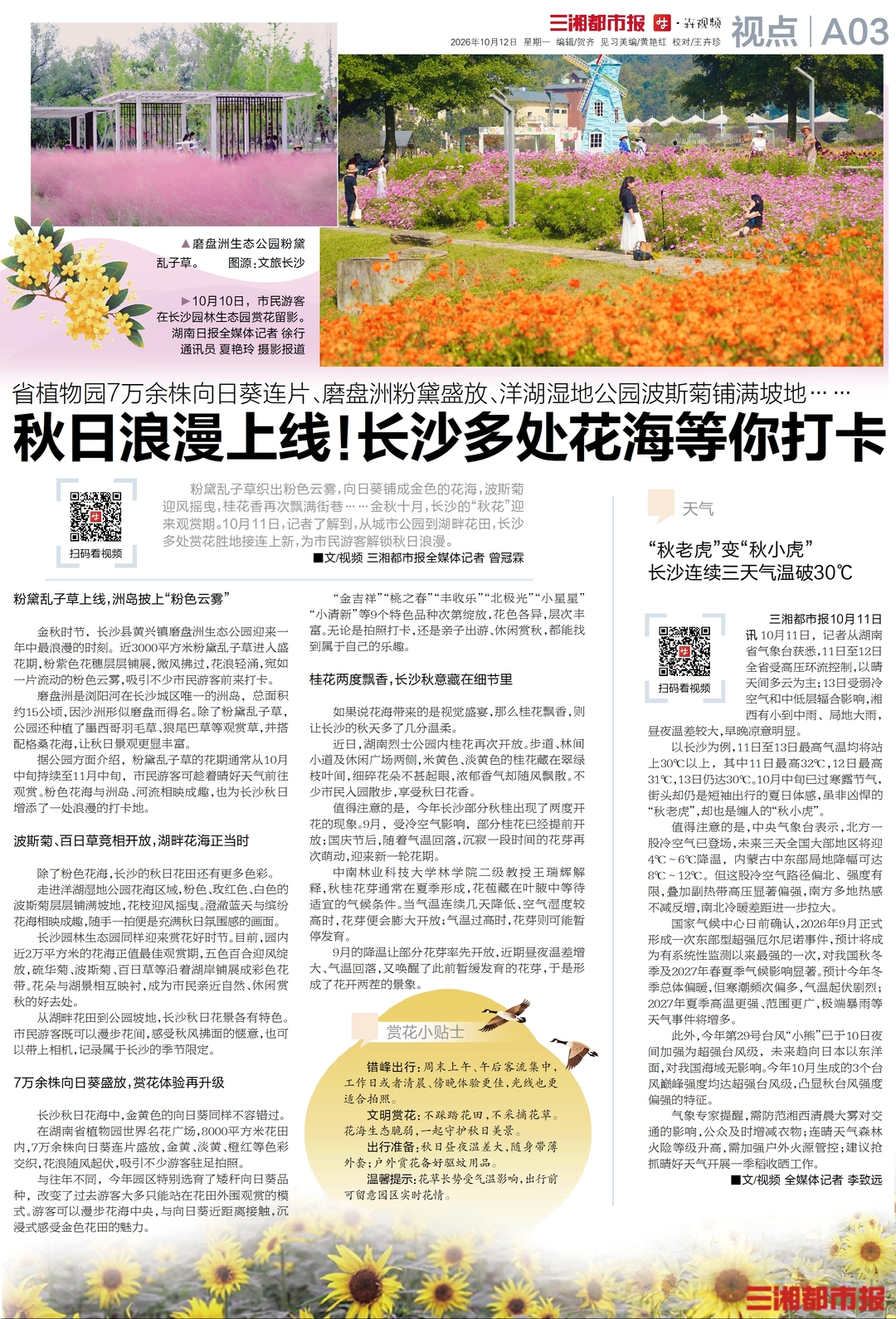 10月12日读报|长沙秋日限定浪漫上线，这几处赏花点等你打卡