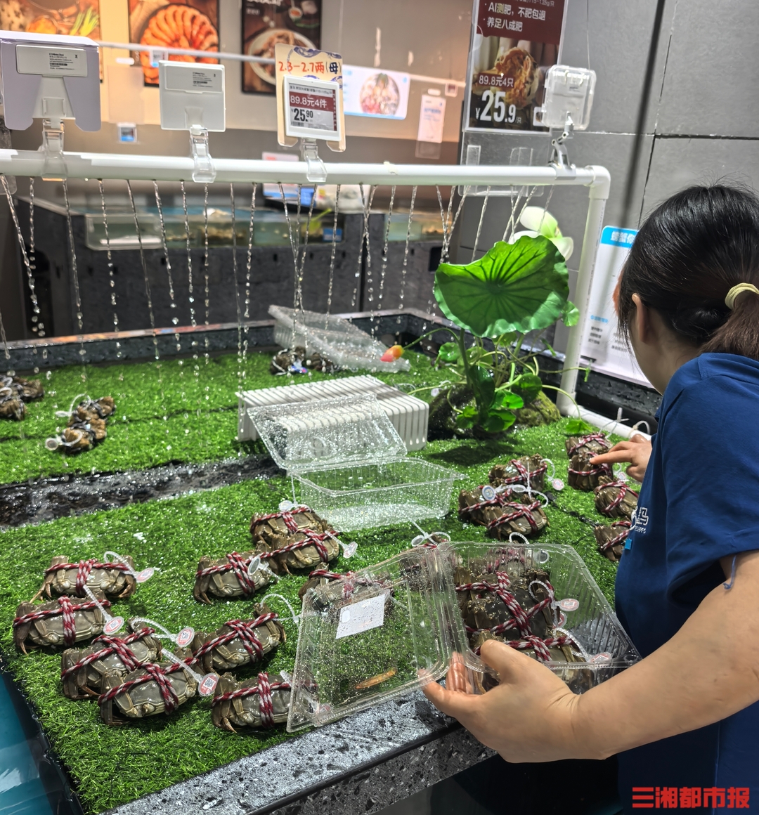 大闸蟹价格崩盘？记者实探：蟹价两极分化，精品蟹价坚挺