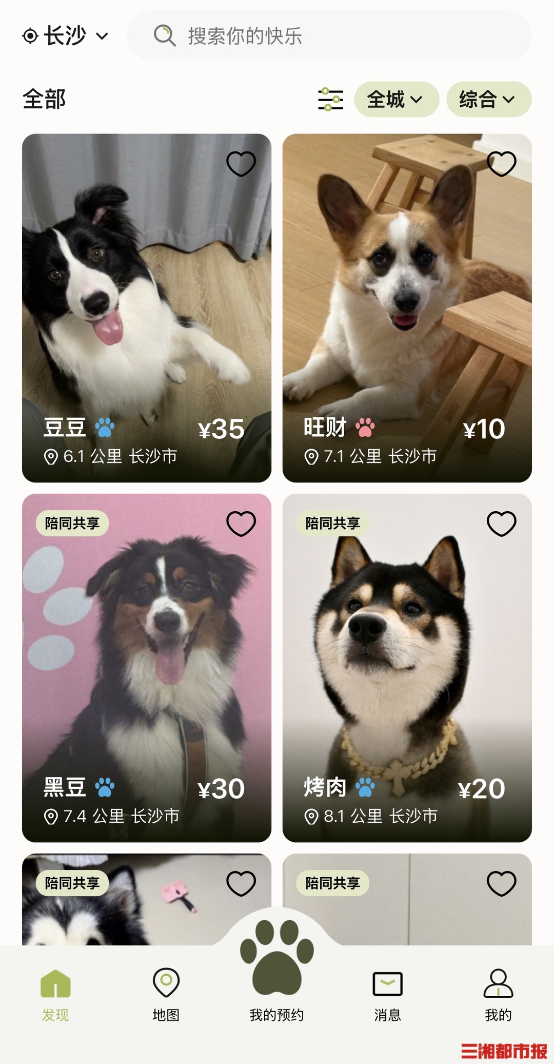 租只“毛孩子”过周末悄然流行，行业监管仍待规范｜消费新观察