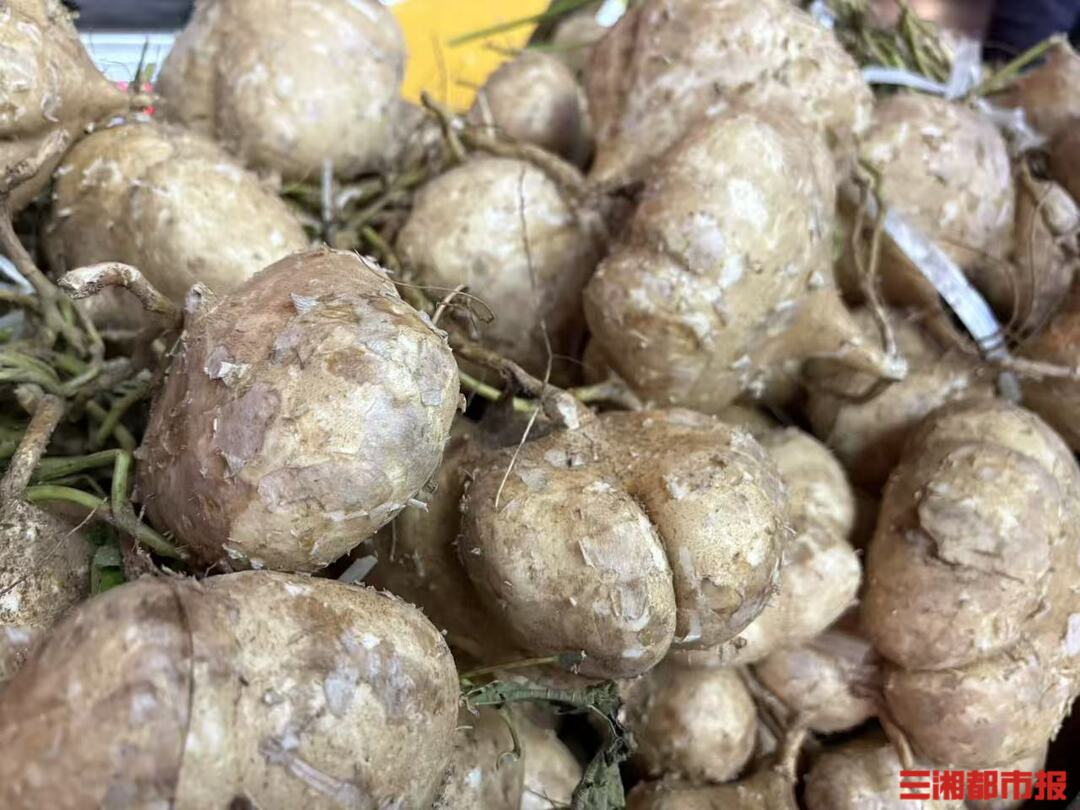 凉薯:雨会停,人会好,万事会明朗丨潇潇聊美食