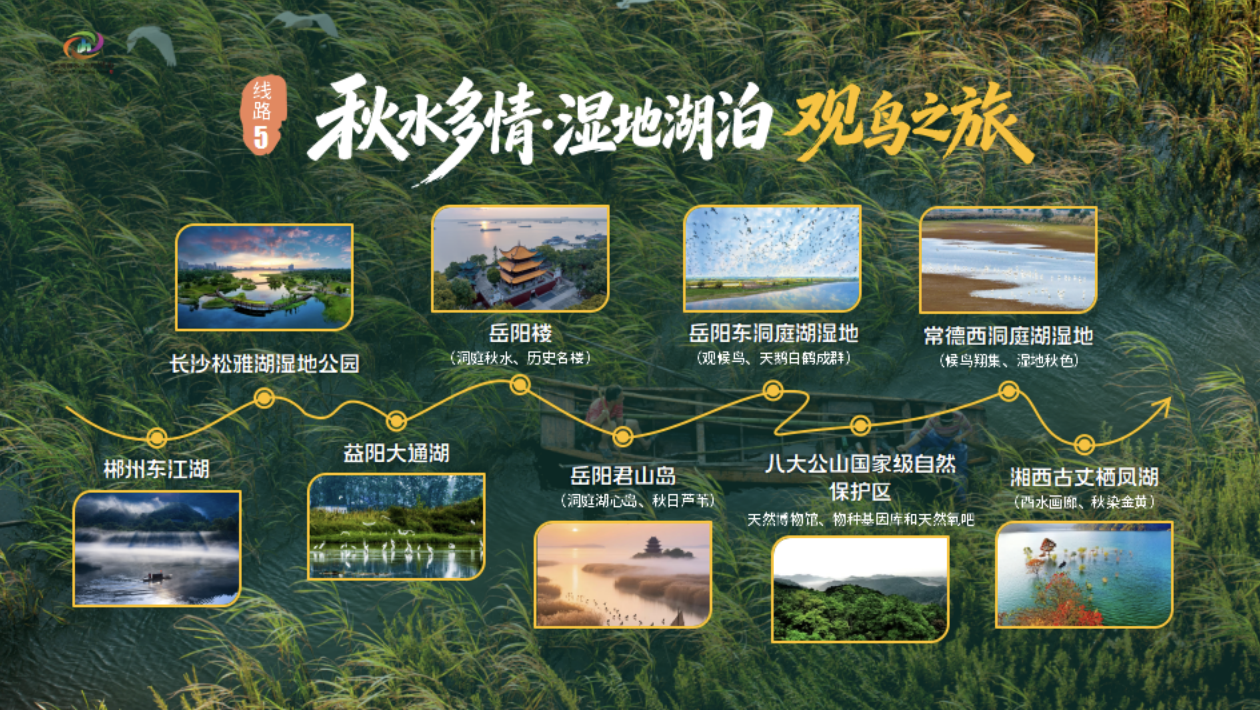 湖南秋季文旅消费季启幕，十条秋游线路、十万消费券齐发